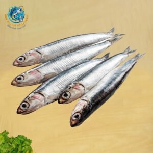 ANCHOVY