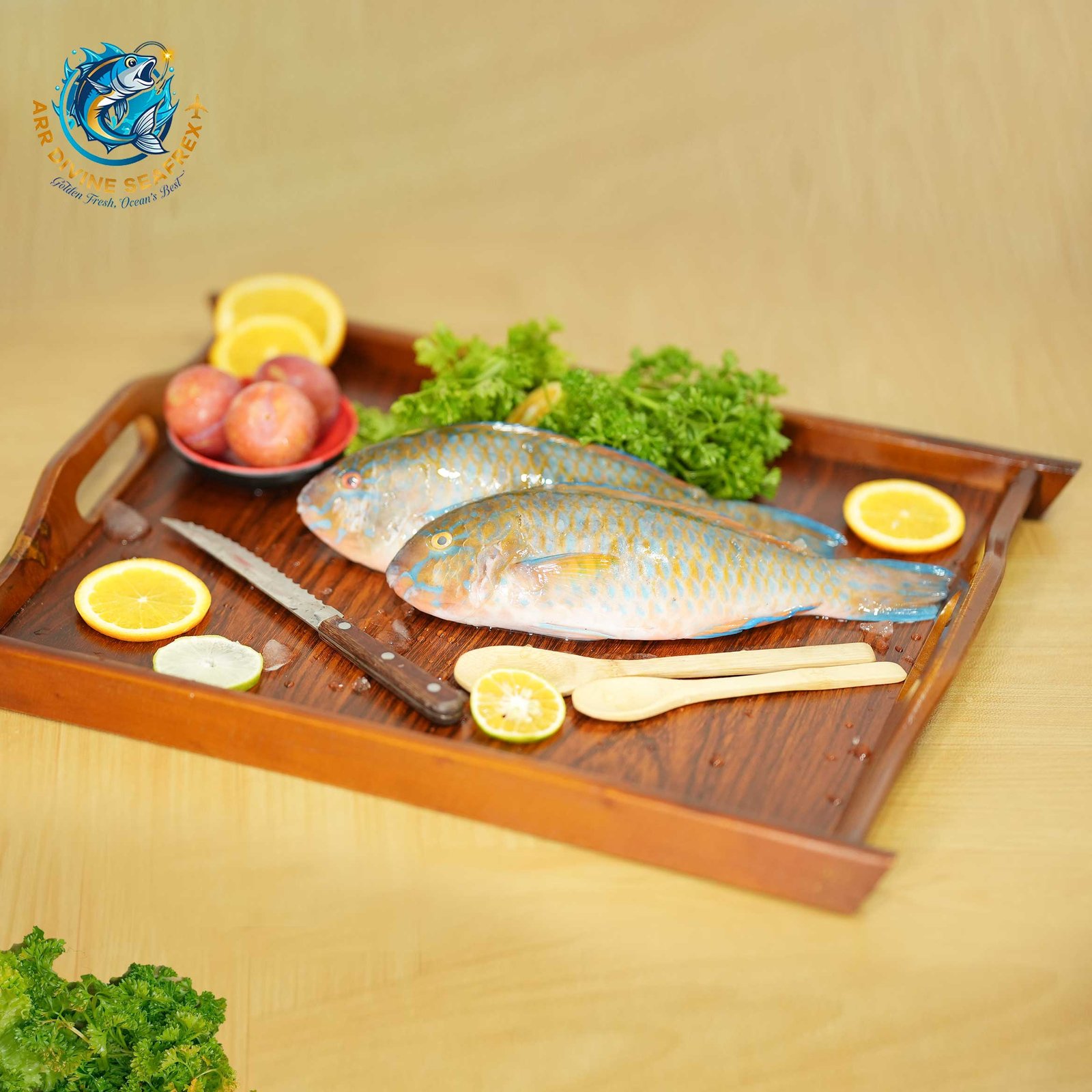 BLUE BARRED PARROIT FISH