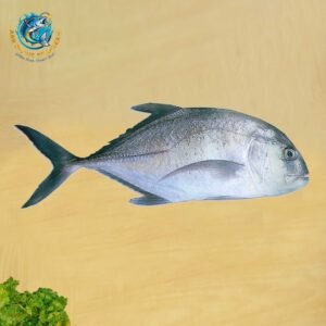 GIANT TREVALLY