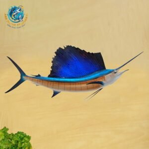 INDO PACIFIC SAIL FISH