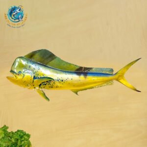 MAHI MAHI