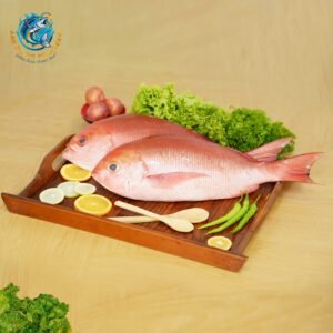 RED SNAPPER (DIANA)