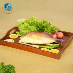 RED SNAPPER (RANNA)