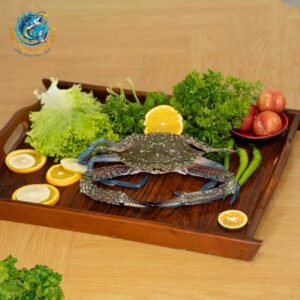 BLUE SWIMMER CRAB
